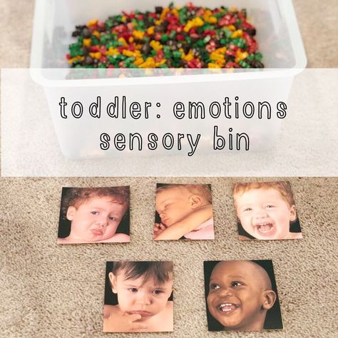 Sarah [teachingmykiddos] on Instagram: “Toddler: Emotions Sensory Bin | My youngest loves pictures of babies so I cut a few pictures and hid them in a sensory bin of dyed pasta.…” Emotions Sensory Bin, Counseling Resources, Sensory Bins, Love Pictures, Baby Pictures, Instagram