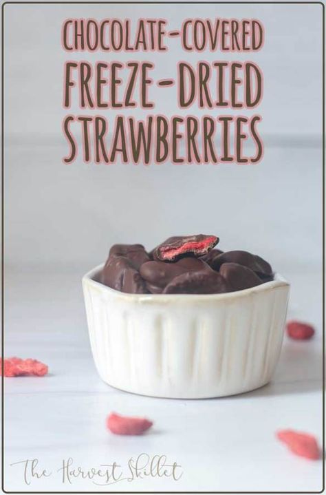 Chocolate Covered Freeze Dried Strawberries, Freeze Dried Chocolate Strawberries, Freeze Dried Strawberries Uses, Freeze Dried Gift Ideas, Freeze Dryer Snacks, Recipes With Freeze Dried Strawberries, Freeze Dried Candy Business, Freez Dryer, Freeze Dried Snacks