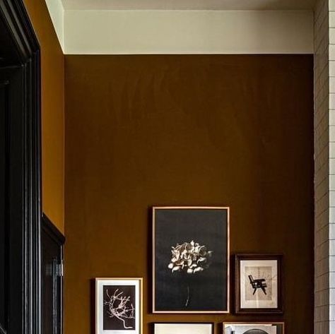 Chocolate Paint Walls, Copper Kettle Benjamin Moore, Cafe Paint Colors, Saddle Brown Paint Color, Multiple Paint Colors In One Room, Clay Living Room Paint Colors, Dark Painted Walls Living Room, Library Accent Wall, Brown Walls Black Trim