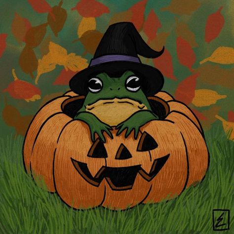 Halloween Frog Drawing, Autumn Personality, Frog Halloween, Halloween Frog, Frog Aesthetic, Halloween Icon, Frog Pictures, Hat Vector, Frog Drawing