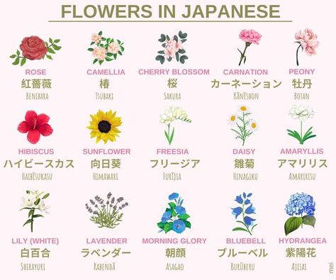 Japanese Flower Names, Names In Japanese, Japanese Verbs, Learn Japan, Bahasa Jepun, Materi Bahasa Jepang, Basic Japanese Words, Japanese Language Lessons, Learn Japanese Words