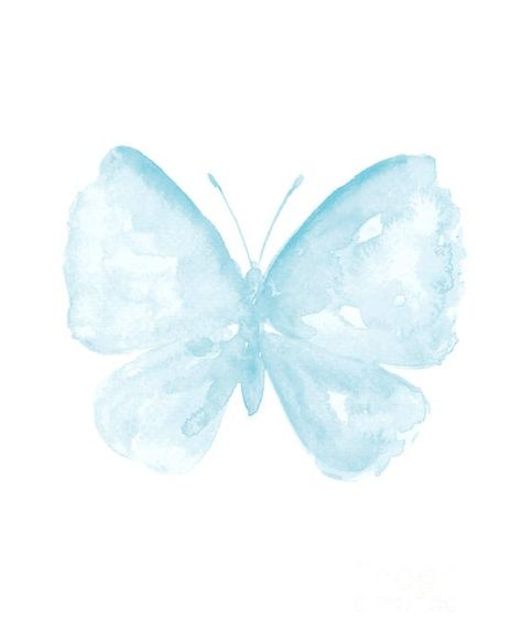 Light Blue Watercolor, Art Butterflies, Blue Butterfly Wallpaper, Baby Art Projects, Plant Art Print, Bow Wallpaper, Blue Aesthetic Pastel, Butterfly Illustration, Watercolor Pictures