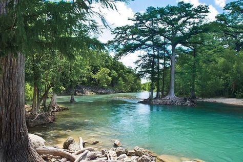 The Guadalupe River State Park is beautiful this time of year. It’s a short 1 hour 15 minute drive from Austin and boasts 4 miles of river… Texas Lakes, Texas State Parks, Texas Adventure, Guadalupe River, Texas Vacations, Texas Parks, Lake Travis, Canyon Lake, Swimming Holes