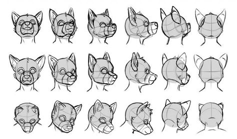 Bird Anthro, Anthro Wolf, Head Outline, View Drawing, Drawing Dog, Head Drawing, Drawing Heads, Wolf Drawing, Outline Drawing