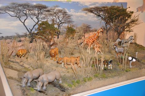 Dioramas and Clever Things: Great Safari Ltd. dioramas at the Toy Fair (Part 1) Savannah Diorama, Giraffe Diorama, Lion Diorama, Safari Project, Jungle Playground, Ecosystems Diorama, Chemistry Cake, Giraffe Habitat, Savanna Biome