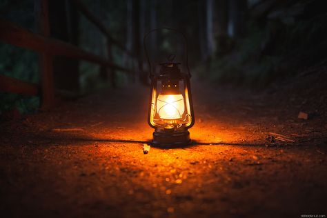 Lantern | Flickr - Photo Sharing! Lantern Aesthetic, Lantern Photography, Old Lanterns, Gas Lamp, Lambada, Over The Garden Wall, Vintage Lanterns, Inside Job, Light Magic