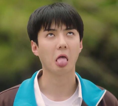 Exo Funny Faces, Sehun Funny, Sehun Cute, Exo Funny, Exo Memes, Kim Junmyeon, Exo Sehun, Oh Sehun, Exo Baekhyun