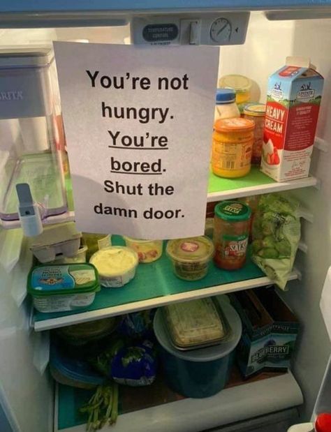 Funny Food Memes, Night Time Snacks, Not Hungry, Lap Band, I Just Dont Care, Food Memes, Late Night Snacks, Diet Motivation, Food Humor