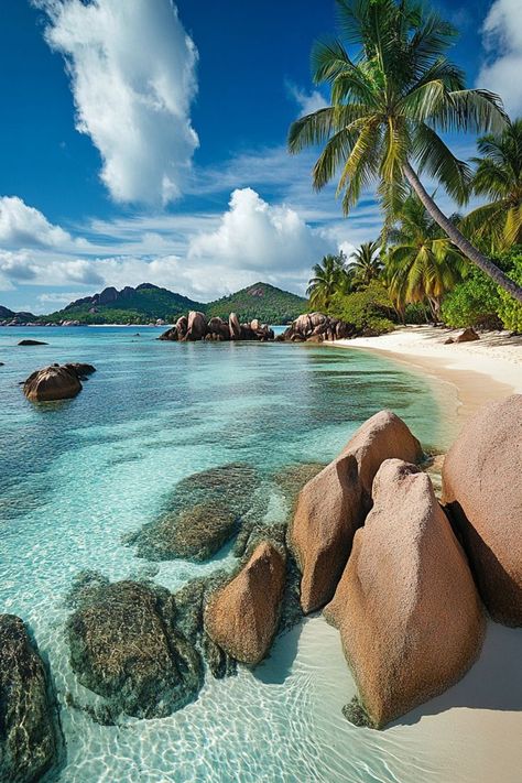 Unwind on the Secluded Beaches of Seychelles 🏝✨ Discover the untouched beauty of Seychelles' secluded beaches. Enjoy the pristine white sands, crystal-clear waters, and lush tropical surroundings for a peaceful and private escape. Perfect for a serene and romantic getaway. 🌿🌊 #SeychellesBeaches #TropicalParadise #SecludedEscape #TravelInspiration Seychelles Islands, Exotic Places, Secluded Beach, Romantic Getaway, Taylor Swift Wallpaper, Beautiful Landscape Wallpaper, Green Garden, Crystal Clear Water, Landscape Wallpaper