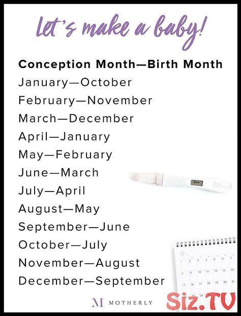 In which month is my baby born? Expiry date chart + calculator - # 1stbabyannounc ...., #1stbabyannounc #5montholdbabydevelopement #baby #babydevelopementactivities #babydevelopementbrain #babydevelopementbyweek #babydevelopementchart #babydevelopementfirstyear #babydevelopementinwomb #babydevelopementmilestones #babydevelopementstages #babydevelopementtoys #born #calculator #chart #date... Month Chart, Baby Development Chart, Lets Make A Baby, Early Pregnancy Signs, Baby Puree, Baby Driver, Pumping Moms, Pregnancy Signs, Baby Sleep Problems