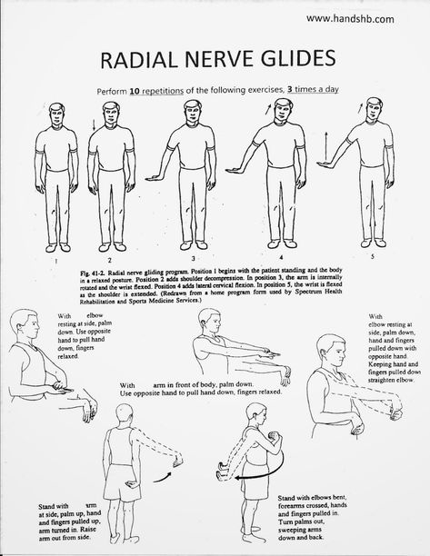 Nerve Glides, Hand Therapy Exercises, Punkty Spustowe, Radial Nerve, Hip Opener, Workout Hiit, Physical Therapist Assistant, Occupational Therapy Assistant, Elbow Braces