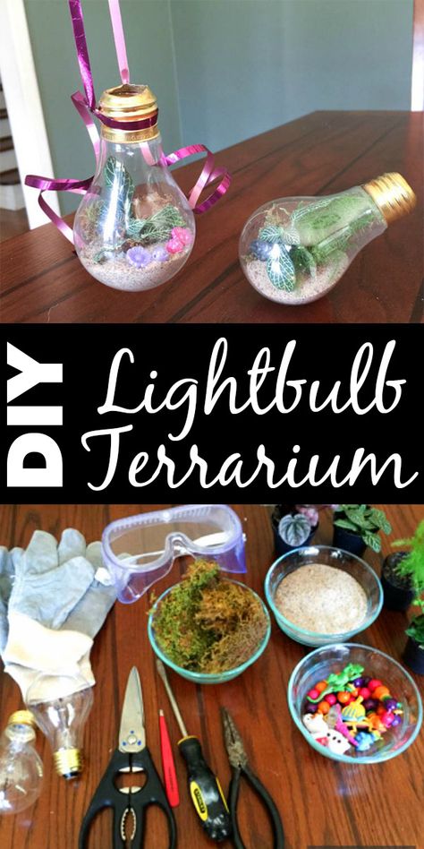 Are you ditching incandescents this year? Save those old bulbs and make yourself a cute lightbulb terrarium! Beaker Terrarium, Lightbulb Terrarium, Terranium Lamp, Container Gardening Fruit, Light Bulb Terrarium Diy, Terrarium Display, Light Bulb Terrarium, Mason Jar Terrarium, Geometric Terrarium Diy