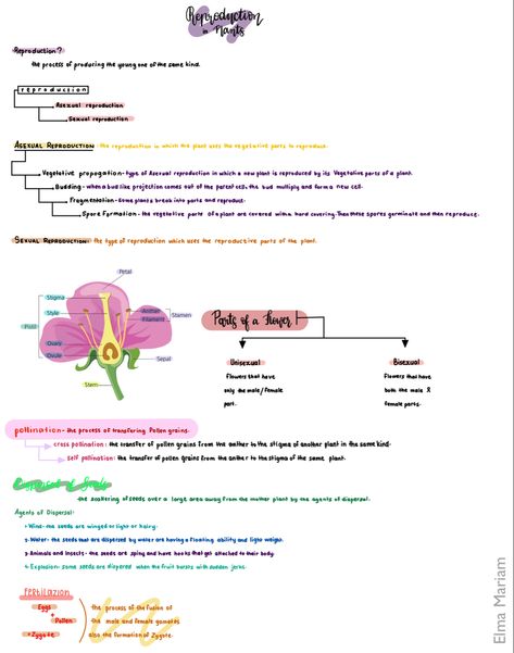 Notes on Reproduction in plants | Elma Mariam | 7th Grade | Notability Reproduction In Plants Notes, Asexual Reproduction Notes, 7th Grade Notes, Reproduction Notes, Asexual Reproduction In Plants, Reproduction In Plants, Praxis Study, Lesson Notes, Biology Diagrams