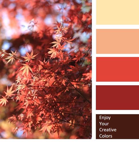 Chinese Restaurant Color Palette, Red Color Pallete Aesthetic, Ramen Color Palette, Chinese New Year Colour Palette, Chinese New Year Color Palette, Nora Aesthetic, Japanese Colour Palette, Chinese Color Palette, Red Color Pallets