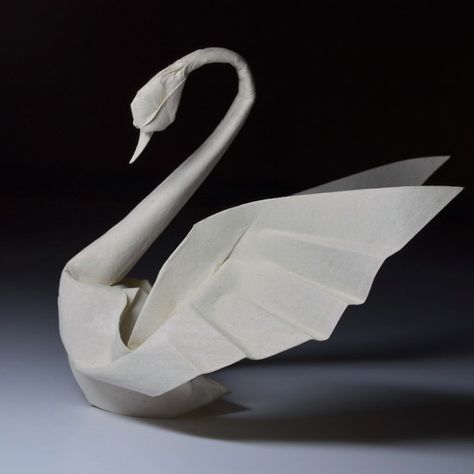 Hoàng Tiến Quyết on Instagram: “#Origami dancing swan Old model, wet folded from 1 uncut triangle of Vietnamese handmade paper  More pictures on http://htquyet.origami.vn…” Origami Goose, Paper Swan, Swan Art, Cheap Diy Crafts, Origami Swan, Origami Step By Step, Paper Watch, Wet Paper, Origami Artist