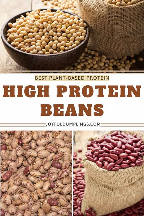 beans with most protein High Protein Legumes, Best Beans For Protein, High Protein Beans, Protein Beans, Health Benefits Of Beans, Beans And Legumes, Freeze Beans, Man Recipes, Protein In Beans