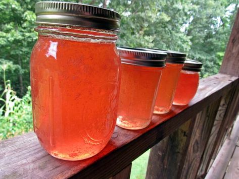 Peach Jelly Recipe Canning, Freezing Peaches, Canning Veggies, Freezing Recipes, Peach Jello, Peach Jelly, Home Canning Recipes, Canning Food, Canning Jam