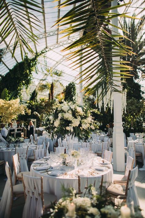 The celebrity couple exchanged vows at Liverpool Anglican Cathedral before a Persian ceremony and reception at Sefton Park Palm House in Merseyside Sefton Park Palm House, Sefton Park Palm House Wedding, Palm House Wedding, Tropical Wedding Venue, Tiana Wedding, Sefton Park, Wedding Reception Tablescapes, Glass House Wedding, Wedding Ceremony Decorations Outdoor