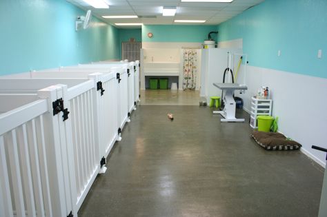 Aloha Pet Grooming - Interior Grooming Salon Ideas, Dog Grooming Salon Ideas, Salon Layout, Dog Boarding Ideas, Groom Room, Grooming Salons, Pet Grooming Business, Dog Boarding Kennels, Kennel Ideas