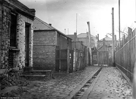 The back street to these North Melbourne slum dwellings shows off a 'beware of dog' sign written on a makeshift gate Cheap Land, Melbourne Suburbs, Australia Vacation, Dutch East Indies, Waterfall Features, Airlie Beach, Beware Of Dog, Nobel Prize, Dream City