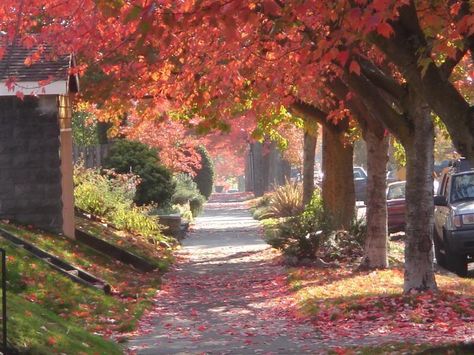 Suburbs Aesthetic, Seattle Suburbs, Music Cover Photos, George Eliot, Seasons Autumn, Music Cover, If I Was A, My Vision Board, Big Sky