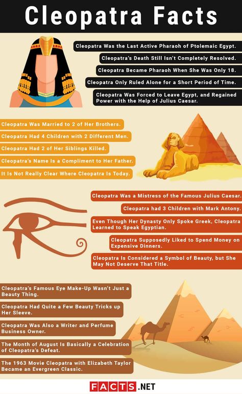 cleopatra facts infographics Facts About Cleopatra, Cleopatra Facts, Egypt Timeline, Egypt Infographic, Ancient Egypt Facts, Facts About Egypt, Egyptian Facts, Cleopatra History, Egypt Facts