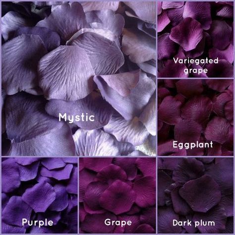 Unique Color Names, Fake Rose Petals, Purple Colour Shades, Petal Toss, Color Knowledge, Silk Rose Petals, Color Mixing Chart, Shade Card, Colour Shades