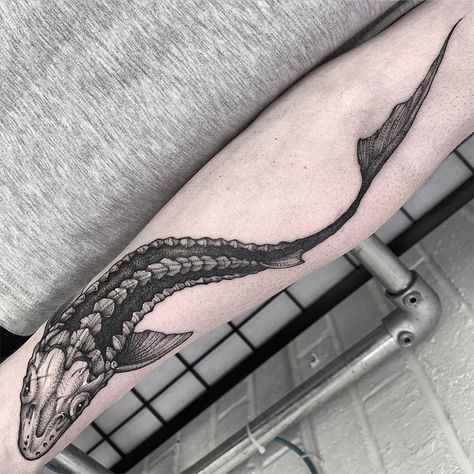 A drop of black on Instagram: “Tattoo artist: @heukdo__  #a_drop_of_black” Sturgeon Tattoo, Small Fishing Tattoo, Fishing Tattoo Ideas, Tattoo Hunting, Hunting Fishing Tattoo, Fly Fishing Tattoo, White Sturgeon, Traditional Tattoo Flash Art, Wand Tattoo