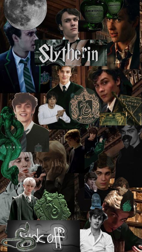 Slytherin Wallpaper, Slytherin Boys, Slytherin Aesthetic, Boys Wallpaper, Hottest Guy Ever, Draco Malfoy, Riddles, Hogwarts, Harry Potter