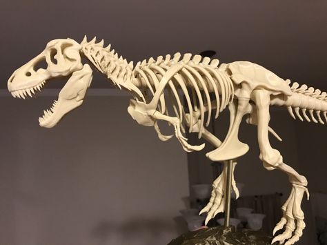 T-Rex Skeleton fixed and printable by icefox1983 - Thingiverse T Rex Skeleton Tattoo, Velociraptor Skeleton, Indominus Rex Skeleton, Triceratops Skeleton, T Rex Skeleton, Aqua Net, Area Models, Skeleton Drawings, Star Coloring Pages