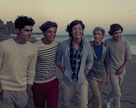 One Direction 2011, Rip Liam, One Direction Pics, One Direction Wallpaper, Harry 1d, What Makes You Beautiful, One Direction Photos, Irish Boys, Harry Louis