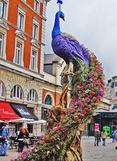 preston bailey peacock - Google Search Buddha Flower, Jeff Leatham, Preston Bailey, Dome Greenhouse, Sunflower Centerpieces, Ganpati Decoration At Home, Peacock Pictures, Peacock Decor, Flower Stencil