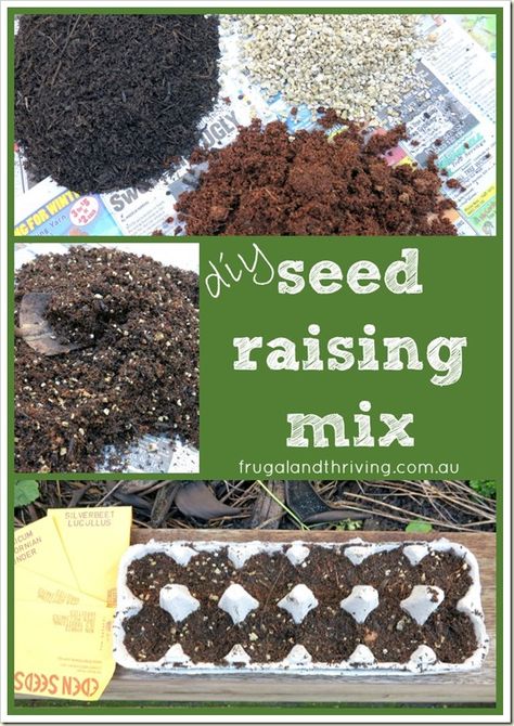 Seed Raising, Seed Starting Mix, Incredible Edibles, Garden Crafts Diy, Seed Saving, Veg Garden, Square Foot Gardening, Patio Plants, Home Vegetable Garden