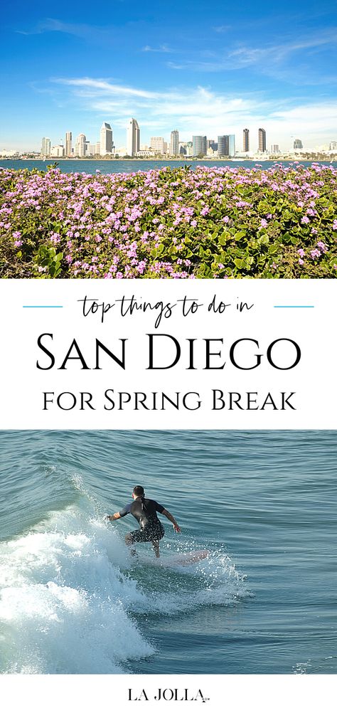 See why you should spend spring break in San Diego whether you're a college student or family looking for a fun vacation in great weather. Belmont Park San Diego, Cabrillo National Monument, Luxury Family Travel, La Jolla San Diego, Legoland California, San Diego Vacation, Mom Travel, Hotel Del Coronado, San Diego Travel