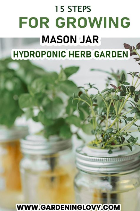 Mason Jar Herb Garden Indoor Hydroponic, Apartment Herb Gardens, Hydroponic Strawberries, Hydroponic Herb Garden, Indoor Hydroponic Gardening, Hydroponic Gardening System, Hydroponic Vegetables, Mason Jar Herbs, Mason Jar Herb Garden