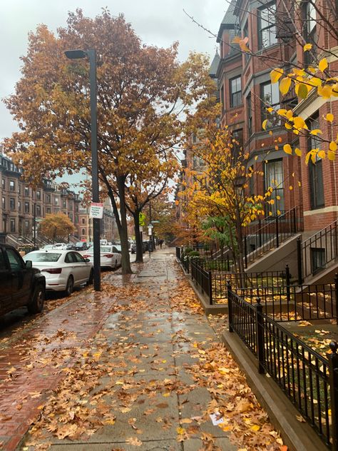 Autumn, style, 2022 fashion, fall season, fall fashion, leaves, autumn photography, chic style Autumn In America, 2022 Fall Aesthetic, Boston During Fall, Chic Autumn Aesthetic, Kayla Season, I Am An Autumn, Ashley Season, Early Autumn Aesthetic, A Season