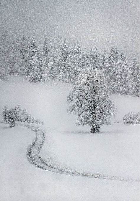 Tracks Winter Schnee, Snow Pictures, Snowy Landscape, Winter's Tale, Gifts For Boyfriend, Winter Love, Winding Road, Winter Magic, Winter Scenery