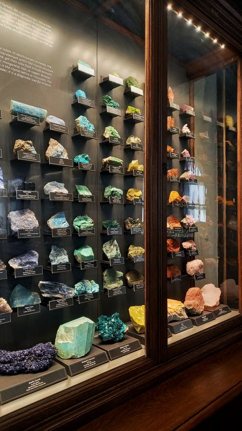 #museum #crystal #rainbow #nature #naturemuseum #history #crystals Mineral Specimen Display, Gemstone Collection Display, Mineral Collection Display, Crystal Collection Display, Geology Museum, Under Shelf Lighting, Rock Collection Display, Gem Display, Crystal Terrarium