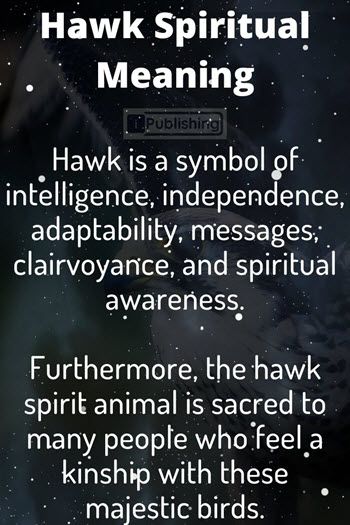 What Does It Mean If You See A Hawk - Spiritual Symbolism - iPublishing Hawk Spiritual Meaning, Hawk Meaning, Hawk Symbolism, Hawk Spirit Animal, Hawk Spirit, Spirit Animal Meaning, Animal Meanings, Pagan Spirituality, Animal Spirit Guides