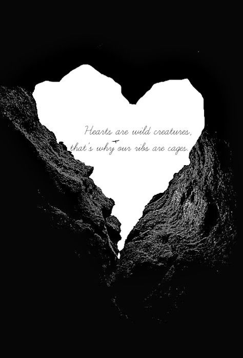 Hearts are wild creatures, that's why our ribs are cages. Hearts Are Wild Creatures Quote, Hearts Are Wild Creatures, Captains Quarters, Heart In Nature, Racing Thoughts, Wild At Heart, Love Never Dies, Wild Creatures, Love Actually