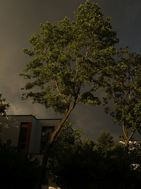 #storm #weather #sunset #sunshine #dark #aesthetic #tree Before Storm Aesthetic, Calm Before The Storm Aesthetic, Storm Weather Aesthetic, Downpour Aesthetic, Summer Storm Aesthetic, Stormy Day Aesthetic, The House Across The Lake, House Across The Lake, Stormy Aesthetic