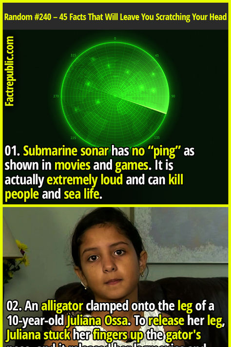 01. Submarine sonar has no “ping” as shown in movies and games. It is actually extremely loud and can kill people and sea life. #science #knowledge #education #technology #girl #rescue #brave #badass #kid Random Science Facts, People Staring, Epic Facts, Odd Facts, Science Facts Mind Blown, Fun Facts Mind Blown, Facts About Dreams, Science Knowledge, Wierd Facts