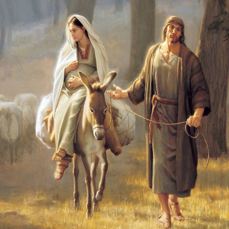 Joseph and Mary fled to Egypt Religious Pictures, Lds Art, A Donkey, Blessed Mother Mary, Biblical Art, Belem, Blessed Virgin Mary, Holy Family, Catholic Art