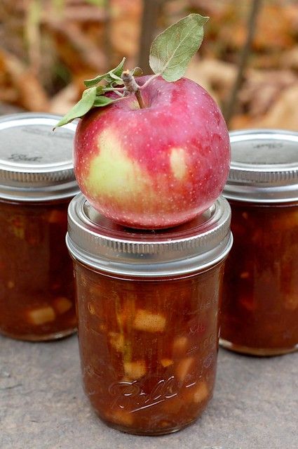 Apple Rhubarb Recipes, Rhubarb Canning Recipes, Canning Fruit Recipes, Rhubarb Jelly, Apple Rhubarb, Rhubarb Chutney, Relish Sauce, Apple Chutney, Canning Fruit