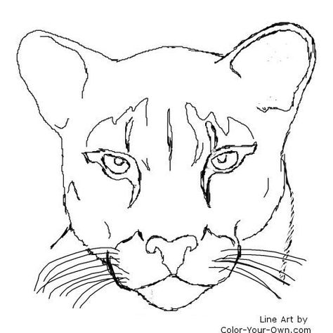 Cougar, Puma, Mountain Lion, Catamount Pumas Animal, Lion Coloring, Florida Panther, Lion Coloring Pages, The Art Sherpa, I Love You Drawings, Lion Drawing, Drawing Heads, Easy Coloring