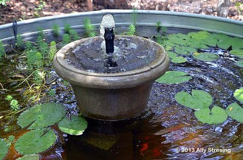 Garden Ally: Stock Tank Fountain Water Trough Water Feature, Stock Tank Fountain Diy, Stock Tank Water Feature, Stock Tank Koi Pond, Stock Tank Pond Ideas, Stock Tank Fountain, Stock Tank Pond, Napa Garden, Container Ponds