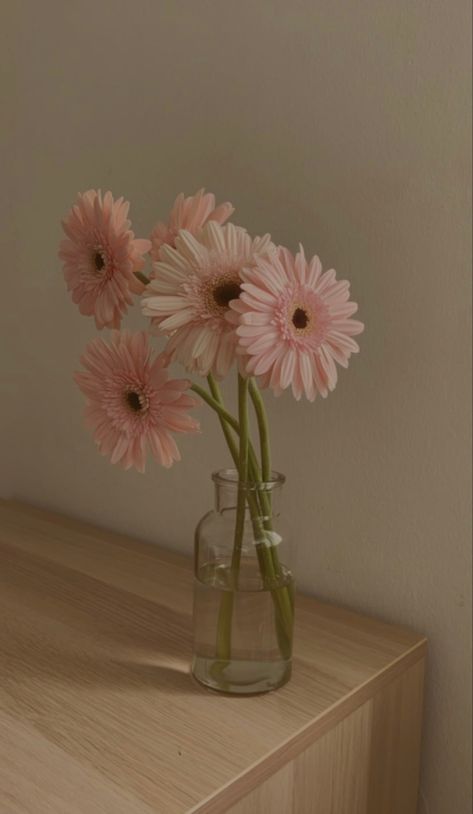 Flowers In Vase Aesthetic, Flor Aesthetic, Whatsapp Profile Wallpaper, Pink Gerbera, Vintage Flowers Wallpaper, Floral Aesthetic, Aesthetic Flower, Aesthetic Flowers, Nothing But Flowers