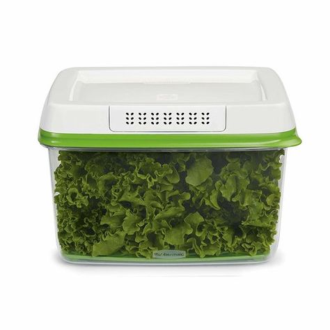 We Tried the Containers That Keep Your Produce Fresh for Weeks—And They’re Life-Changing Lettuce Storage, Produce Containers, Vegetable Storage, Food Storage Container Set, Food Storage Container, Homemade Dinner, Container Set, Fresh Fruits And Vegetables, Food Shop