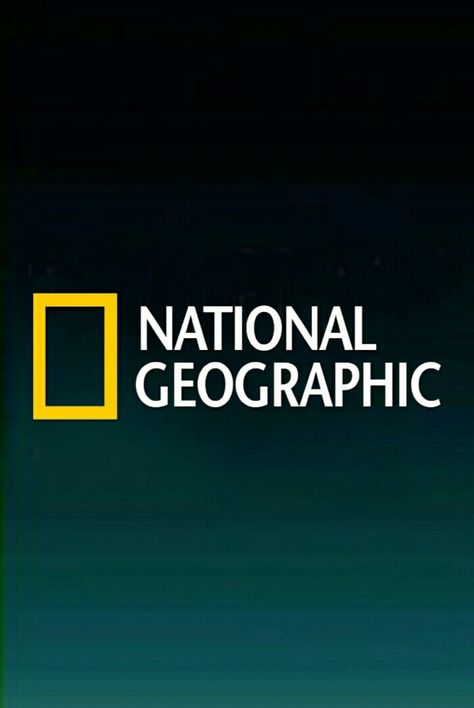 National Geographic Logo, Tv Channel Logo, Channel Logo, Best Gaming Wallpapers, Gaming Wallpapers, Tv Channel, General Knowledge, Handsome Anime Guys, Handsome Anime