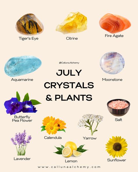 Connecting with the cycles and seasons through crystals and plants can be a beautiful way to harmonize with nature 💎 🌿 Learn more about each crystal and plant in our full our monthly digital ritual guide! Dive into recommended rituals for July and connect to your intuition during the peak of summer 🌊 Crystals For September, July Crystals, Crystals For August, Crystals For April, Ruby In Kyanite Crystal Meaning, Pea Flower, Moonstone Crystal, Fire Agate, Canning